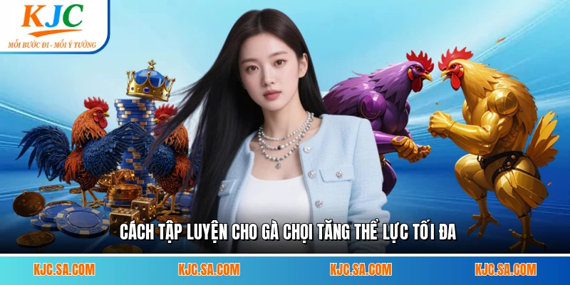 Cách tập luyện cho gà chọi tăng thể lực tối đa