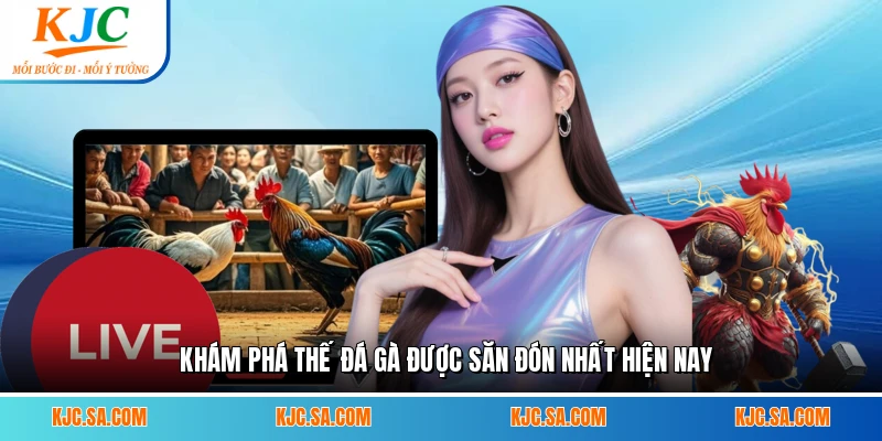 Khám phá thế đá gà được săn đón nhất hiện nay