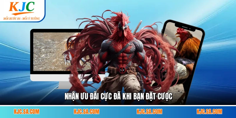 Nhận ưu đãi cực đã khi bạn đặt cược